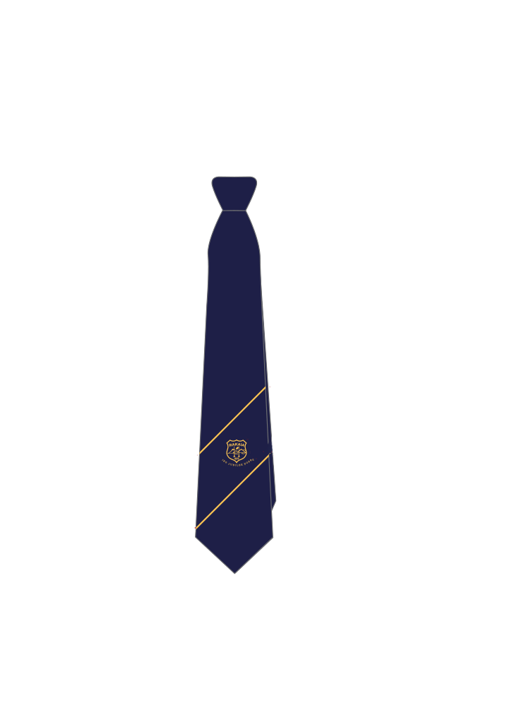 Rakaia RFC Tie Navy/Gold 1SZ